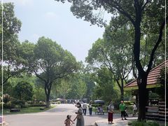 -昆山城市生态森林公园