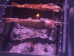 -丰茂烤串(全国首店)
