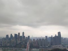 -南山植物园