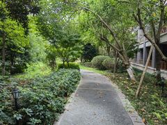 -成都安仁福朋喜来登酒店