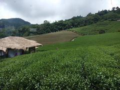 -优游吧斯邹族文化部落