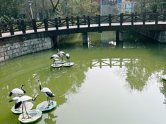 -峙山公园