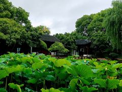 -秋霞圃