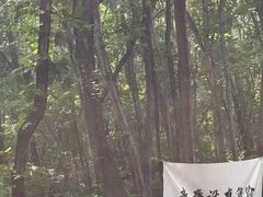 -帽儿山风景区
