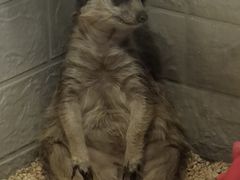-平行世界·猫咖(首经贸店)