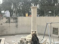 -保定市动物园