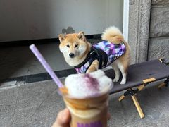 -HANA COFFEE(长寿路店)