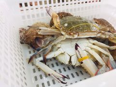 -海岸风情蒸汽海鲜自助餐厅(家宴金手勺店)