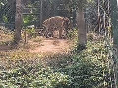 -海南热带野生动植物园