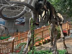 -中国第四纪冰川遗迹陈列馆