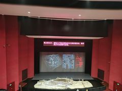 -合肥大剧院