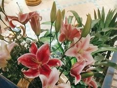 -爱丽格斯火锅(东岸国际店)