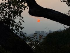 -江心屿景区