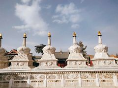 -大召无量寺