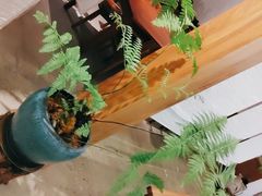 -七色云蔬食(喜邻里店)