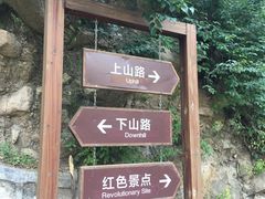 -大岭沟猕猴桃谷风景区