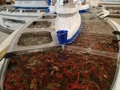 -澜悦港海鲜体验主题餐厅