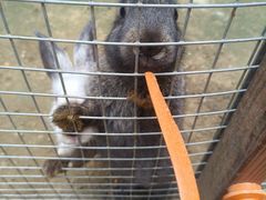 -栾川竹海野生动物园