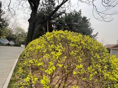 -长辛店二七公园