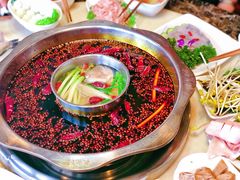 -枇杷园食为鲜火锅(南山店)