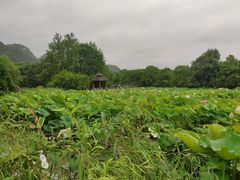 -贵阳市花溪国家城市湿地公园