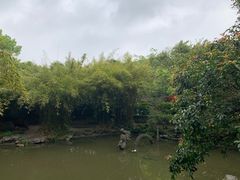 -汇龙潭