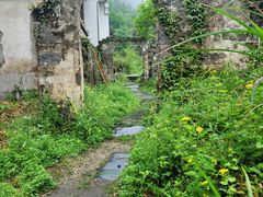 -石台牯牛降景区