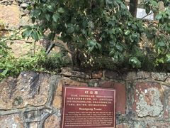 -狼山风景名胜区