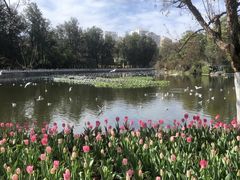 -花溪公园