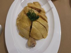 -圆苑(金茂店)