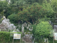 -菊花台公园