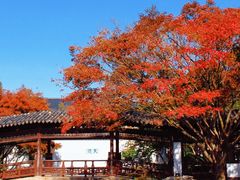 -常熟方塔园
