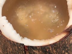 原只椰子炖乌鸡-珍味汤馆·潮汕家乡菜(保利文化广场店)