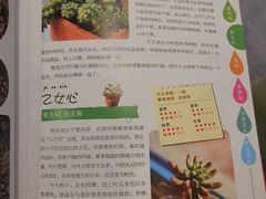 -五峰书院(南洋泾路店)