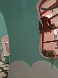 -奈尔宝家庭中心·亲子餐厅(苏州大悦城店)