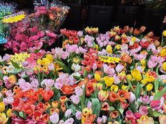 -越秀西湖花市(广州城市广场花卉店)