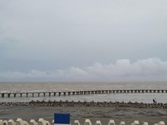-南汇新城海滩
