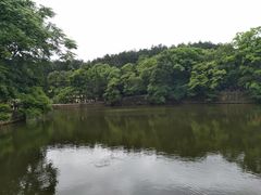 -韶山毛泽东同志故居