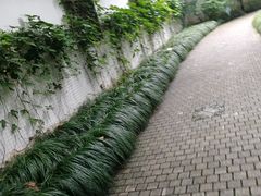 -瀛洲公园