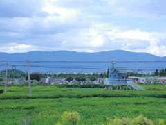 -大理洱海