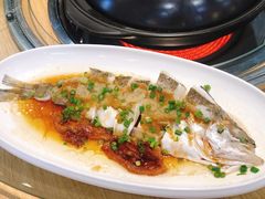 -喜上喜鸡煲翅(吉大店)