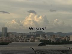 -广交会威斯汀酒店