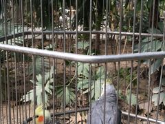 -南宫五洲植物乐园