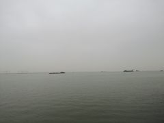 -大湾区中央湿地公园-十九涌