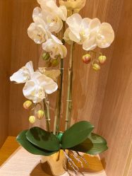 -栖SPA·ONDA ·海菲秀·皑皑科技美肤中心