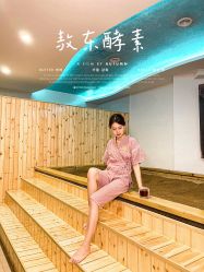 -敖东酵素·离子暖房