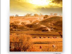 -塞罕坝国家级自然保护区