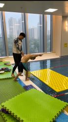 -海豹航航水育游泳中心(芳园里店)