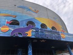 -海合安青岛极地海洋公园