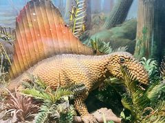 -浙江自然博物院(杭州馆)